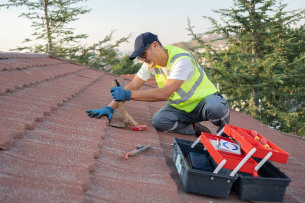 Best Storm Damage Roof Repair  in USA